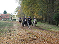 Dateiname=PB083435-gruenkohl-rehwinkel.JPG
Dateigröße=668KB
Abmessungen: 1200x900
hinzugefügt am: 22. November 2015 PB083435-gruenkohl-rehwinkel.JPG