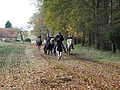 Dateiname=PB083436-gruenkohl-rehwinkel.JPG
Dateigröße=640KB
Abmessungen: 1200x900
hinzugefügt am: 22. November 2015 PB083436-gruenkohl-rehwinkel.JPG