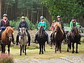 Dateiname=P9139223-Heidebluetenritt-2015.JPG
Dateigröße=513KB
Abmessungen: 1200x900
hinzugefügt am: 26. September 2015 P9139223-Heidebluetenritt-2015.JPG
