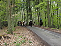Dateiname=P5060019-islandstuten-2017.JPG
Dateigröße=652KB
Abmessungen: 1200x900
hinzugefügt am: 02. Juni 2017 P5060019-islandstuten-2017.JPG