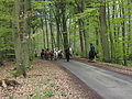 Dateiname=P5060025-islandstuten-2017.JPG
Dateigröße=663KB
Abmessungen: 1200x900
hinzugefügt am: 02. Juni 2017 P5060025-islandstuten-2017.JPG