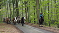 Dateiname=P5060028-islandstuten-2017.JPG
Dateigröße=496KB
Abmessungen: 1200x675
hinzugefügt am: 02. Juni 2017 P5060028-islandstuten-2017.JPG