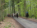 Dateiname=P5060029-islandstuten-2017.JPG
Dateigröße=645KB
Abmessungen: 1200x900
hinzugefügt am: 02. Juni 2017 P5060029-islandstuten-2017.JPG