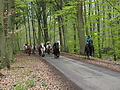 Dateiname=P5060030-islandstuten-2017.JPG
Dateigröße=653KB
Abmessungen: 1200x900
hinzugefügt am: 02. Juni 2017 P5060030-islandstuten-2017.JPG