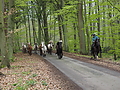 Dateiname=P5060034-islandstuten-2017.JPG
Dateigröße=652KB
Abmessungen: 1200x900
hinzugefügt am: 02. Juni 2017 P5060034-islandstuten-2017.JPG
