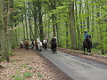 Dateiname=P5060035-islandstuten-2017.JPG
Dateigröße=656KB
Abmessungen: 1200x900
hinzugefügt am: 02. Juni 2017 P5060035-islandstuten-2017.JPG