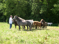 DSCN0196.JPG