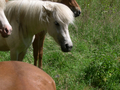 DSCN0212.JPG