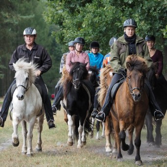 17.09.2014 Neue Fotostrecken - Heideblütenritt