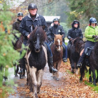 04.12.2014 Neue Islandpferde Fotostrecken