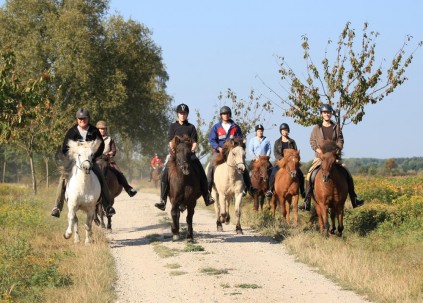 Unterricht und Ausritte in der Vorsaison