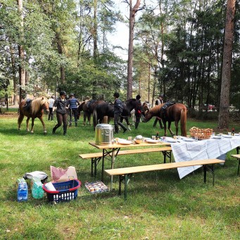 09.09.2018 Heideblütenritt 2018