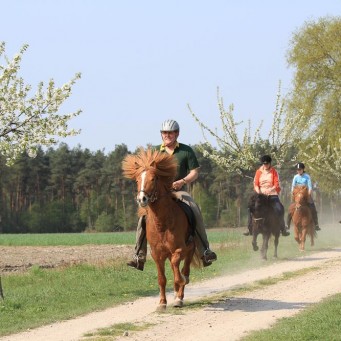 05.10.2014 Jahreskalender 2015 online!