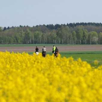 03.05.3015 Die Hofleute vom Isländerhof Rutenmühle