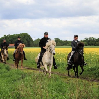 06.05.2020 Die Gästesaison beginnt am 11. Mai!