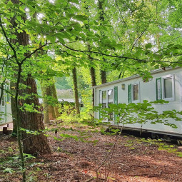 Tinyhaus Ari - 6 Personen