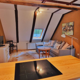 Fölvi - 4-6 Personen