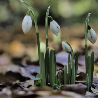 08.02.2016 Winterarbeiten..