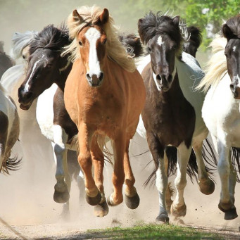 13.01.2023 Willkommen im neuen Jahr