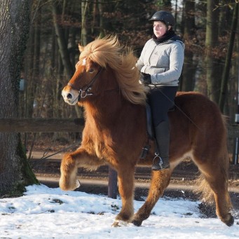 26.02.2017 Winterarbeiten