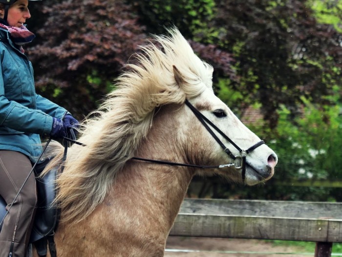 05.05.2019 Neue Fotos von Strákur