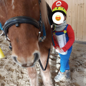 Faschingsreiten im Februar